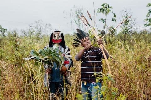 Männer der Guarani-Kaiowá sind unterwegs, um raue Blätter des Ameisenbaums zu sammeln. Sie wollen damit ein xiru bearbeiten. Den Bogen und die Pfeile mit Steinspitzen verwenden sie zur Jagd