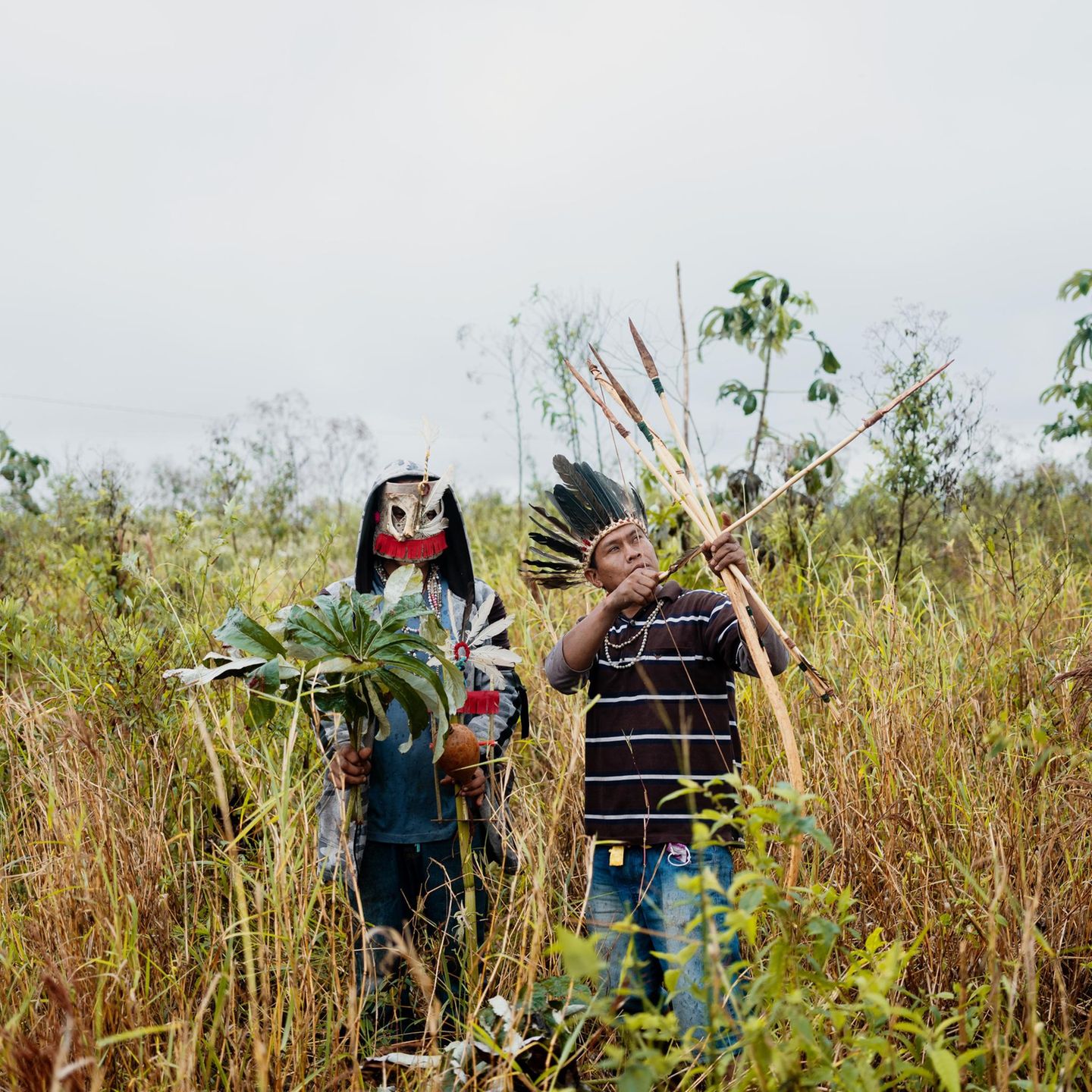 Männer der Guarani-Kaiowá sind unterwegs, um raue Blätter des Ameisenbaums zu sammeln. Sie wollen damit ein xiru bearbeiten. Den Bogen und die Pfeile mit Steinspitzen verwenden sie zur Jagd