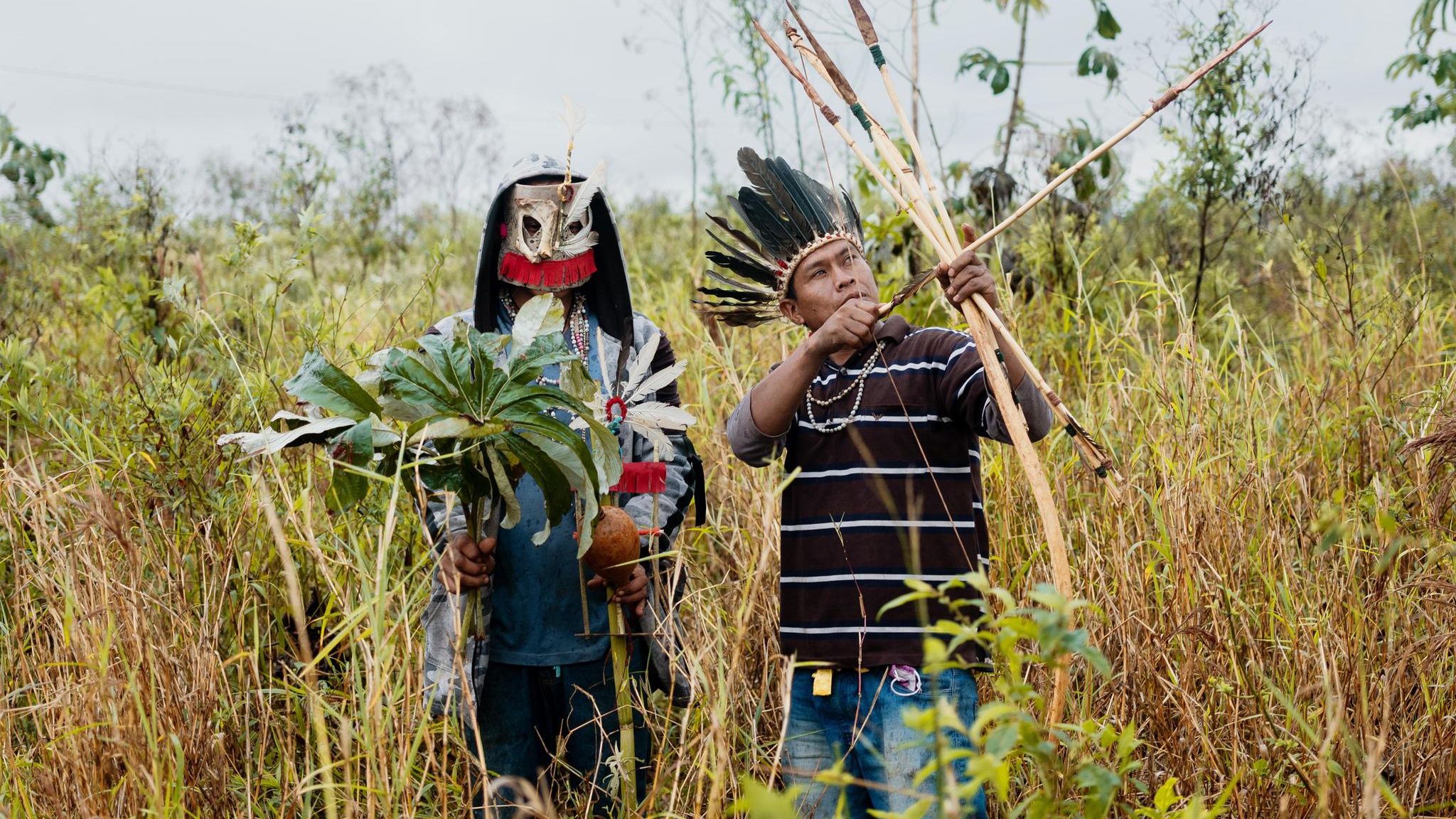 Männer der Guarani-Kaiowá sind unterwegs, um raue Blätter des Ameisenbaums zu sammeln. Sie wollen damit ein xiru bearbeiten. Den Bogen und die Pfeile mit Steinspitzen verwenden sie zur Jagd