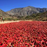 Trocknender roter Pfeffer und ein höherer Berg im Hintergrund