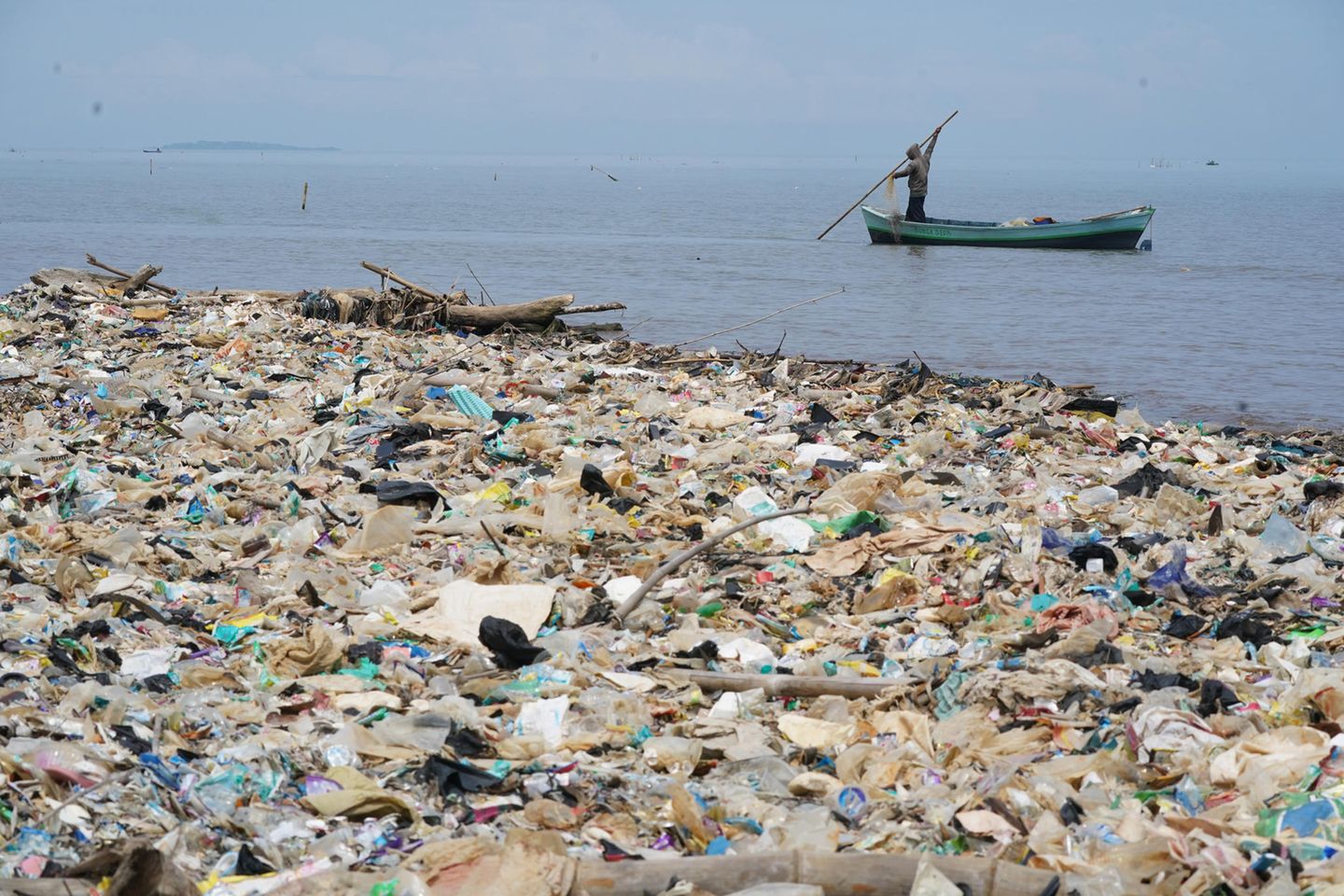 K stenarten Gedeihen Auf Plastikm ll Im Meer MWPGLA