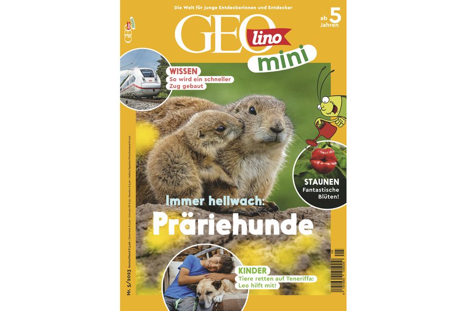 GEOlino Mini Ausgabe 05-2023: Präriehunde