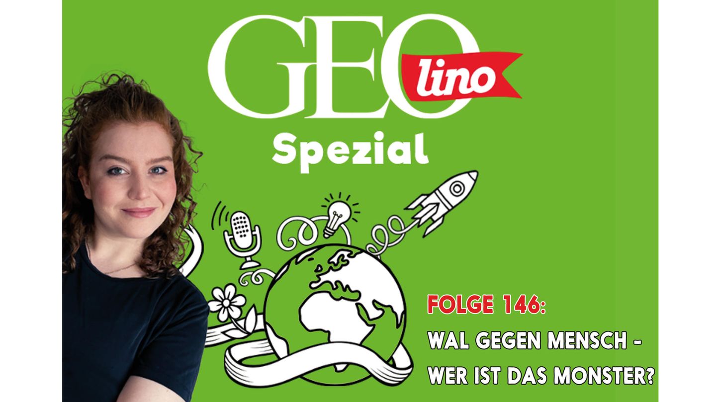 In Folge 146 unseres GEOlino Podcasts: Wal gegen Mensch - Wer ist das Monster?