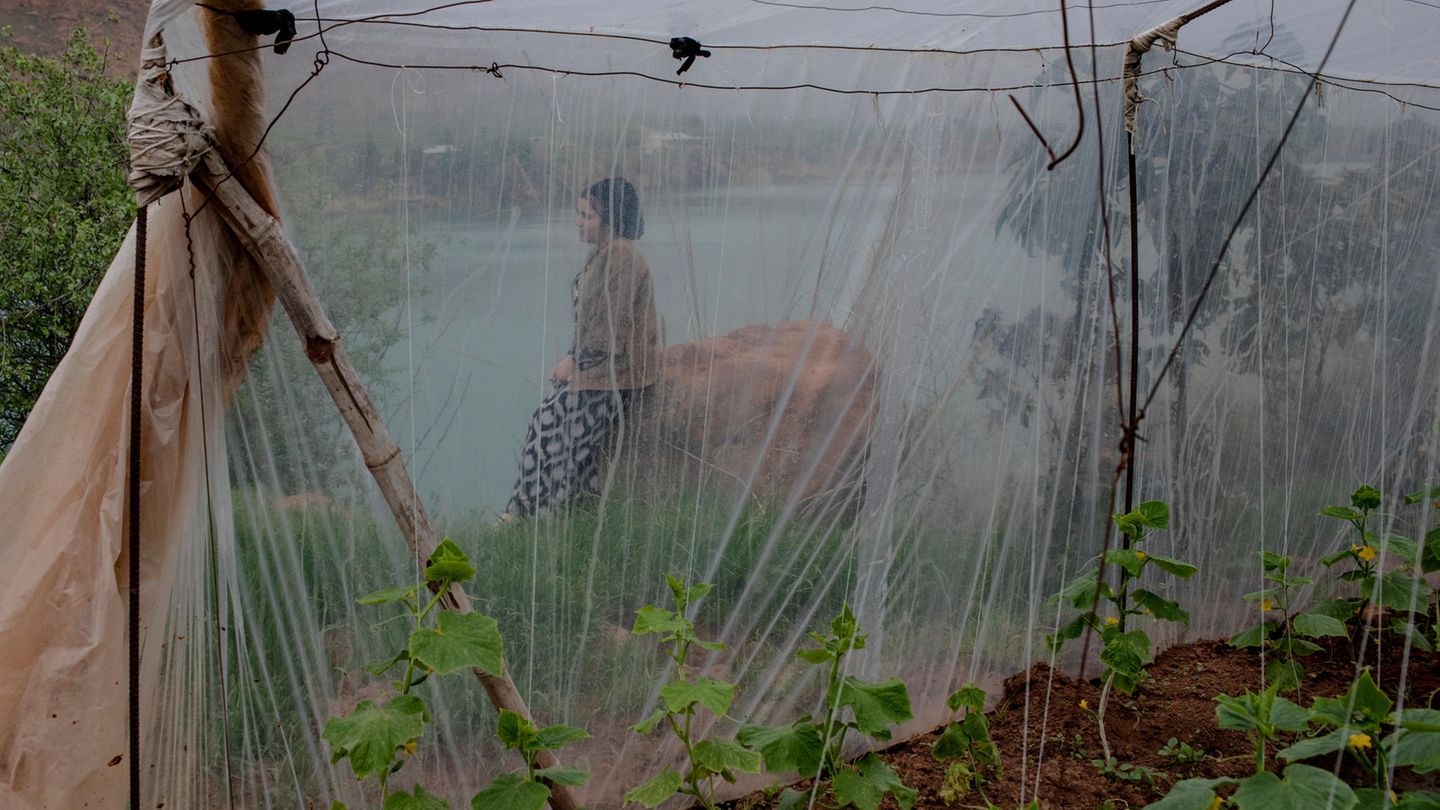 Preis für Langzeitprojekte: "Battered Waters" von Anush Babajanyan Eine Frau sitzt neben einem Gewächshaus an einem Fluss