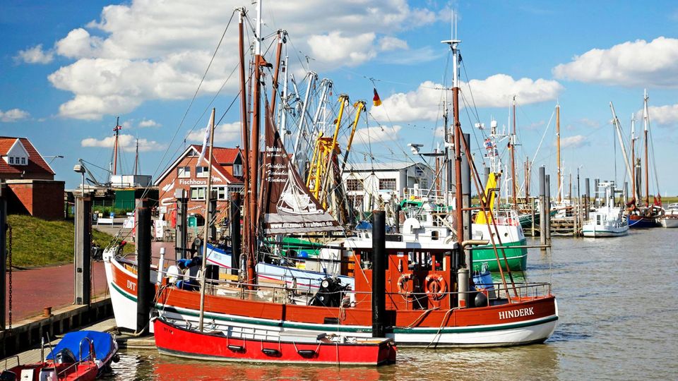 Fischkutter im Hafen von Ditzum, Ostfriesland Fischkutter im Hafen von Ditzum, Ostfriesland