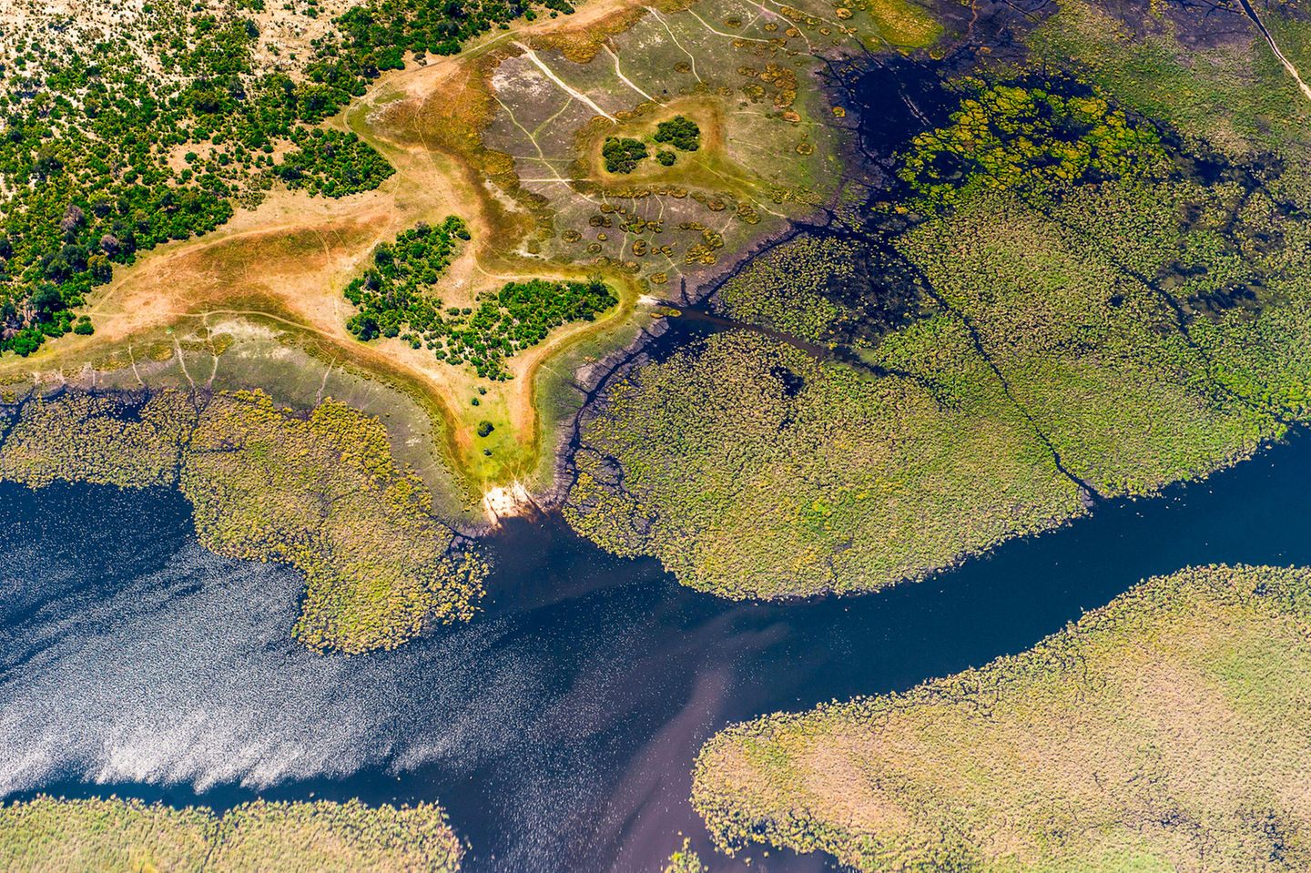 Grünes Binnenfluss-Delta von oben