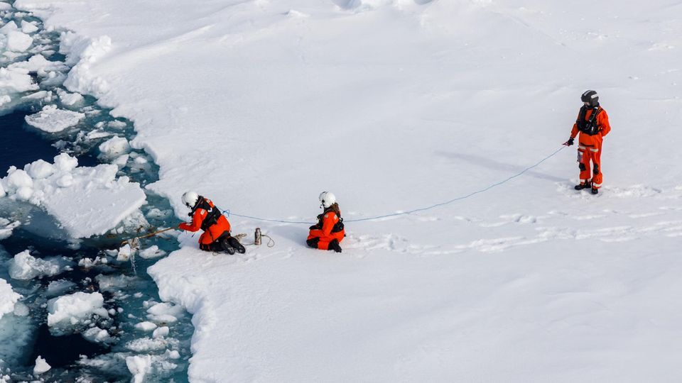 Drei Mitglieder eines Forschungsteams nehmen Proben der Eisalge Melosira arctica Drei Mitglieder eines Forschungsteams nehmen Proben der Eisalge Melosira arctica