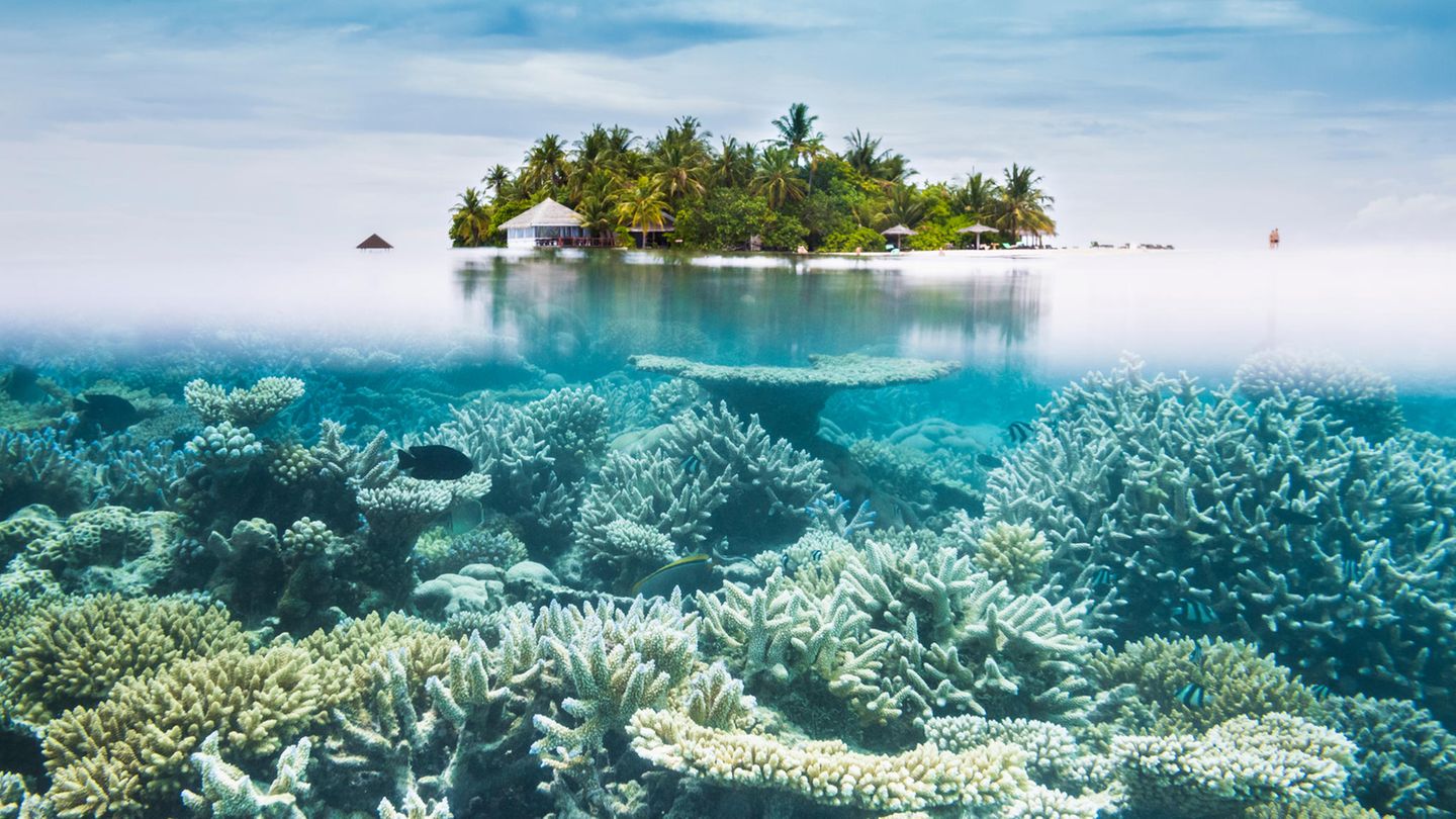 Great Barrier Reef