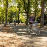 Radfahrer auf der Promenade in Münster