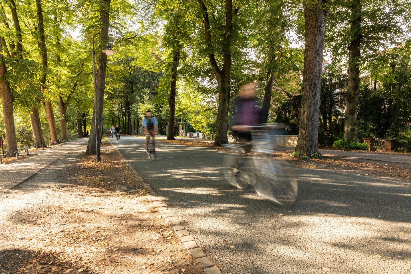 Radfahrer auf der Promenade in Münster