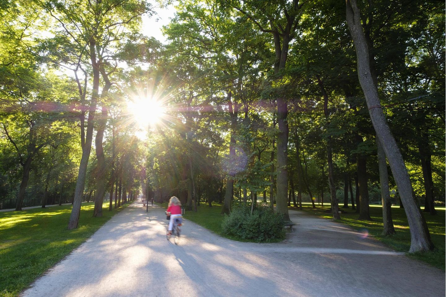 Radfahrerin im Schlossgarten Erlangen