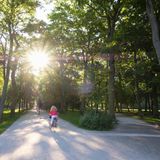 Radfahrerin im Schlossgarten Erlangen