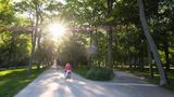 Radfahrerin im Schlossgarten Erlangen