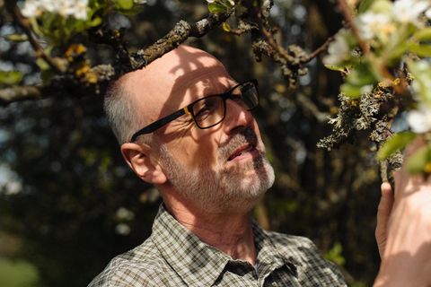 Falls es späte Fröste geben sollte, kann gerade für Obstbäume eine zu frühe Blüte im Fiasko enden. Daher versuchen Bäume abzuschätzen, wann sie das Risiko des Austriebs eingehen können