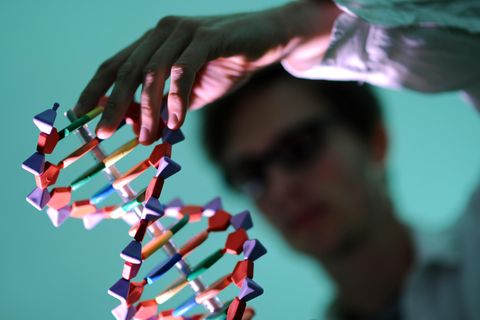 Ein Mann betrachtet in Hamburg ein DNA-Modell