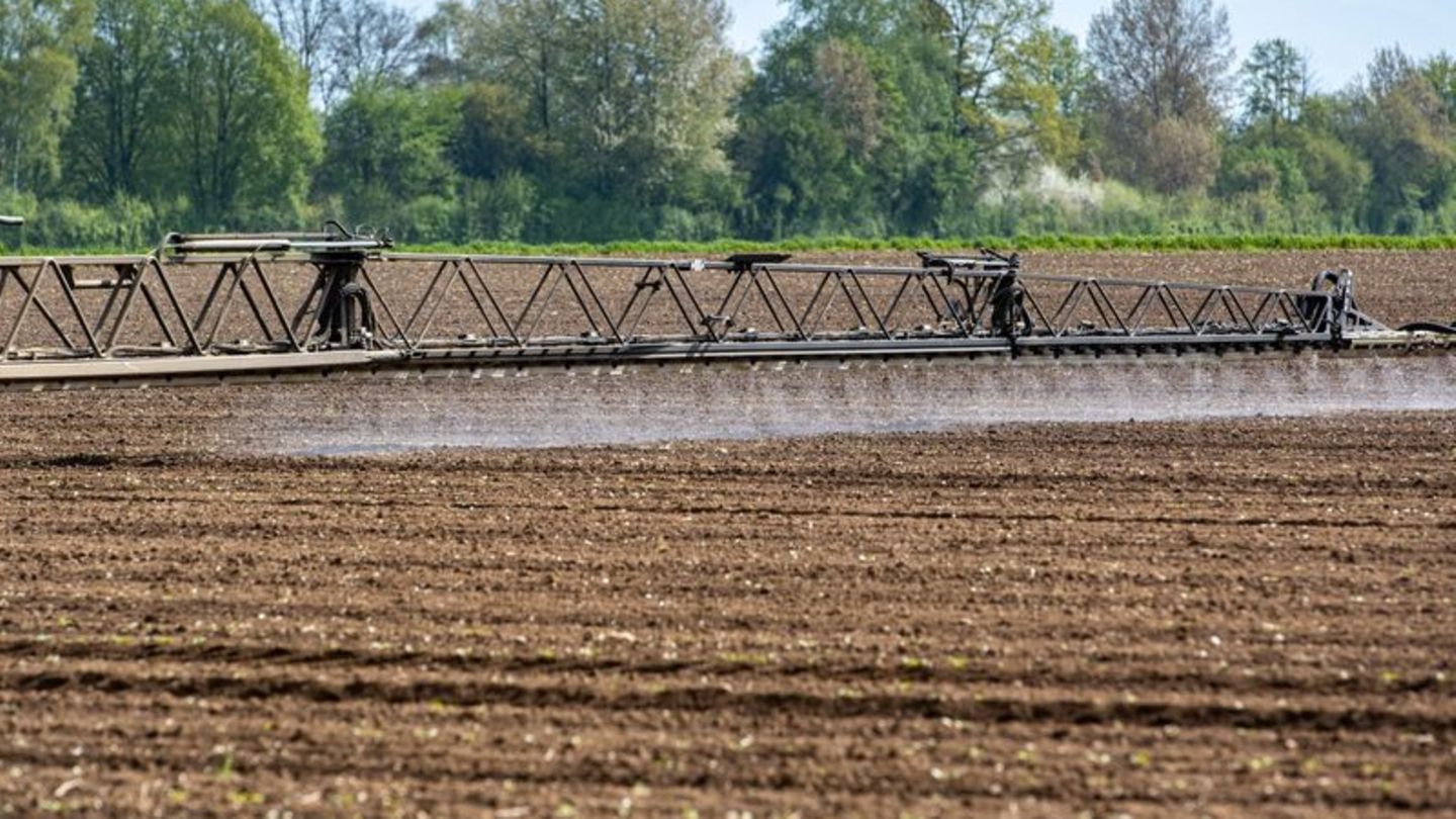 Ein Traktor bringt auf einem Acker im bayerischen Straubing Pflanzenschutzmittel aus