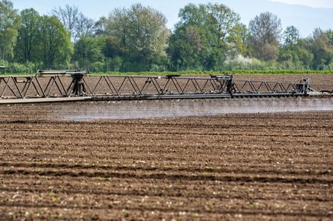 Ein Traktor bringt auf einem Acker im bayerischen Straubing Pflanzenschutzmittel aus