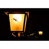 Ein Gecko ist bei Nacht in einer angeschalteten Laterne