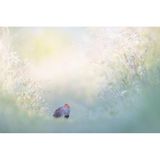 Rebhuhn in einer hellen, blumigen Umgebung