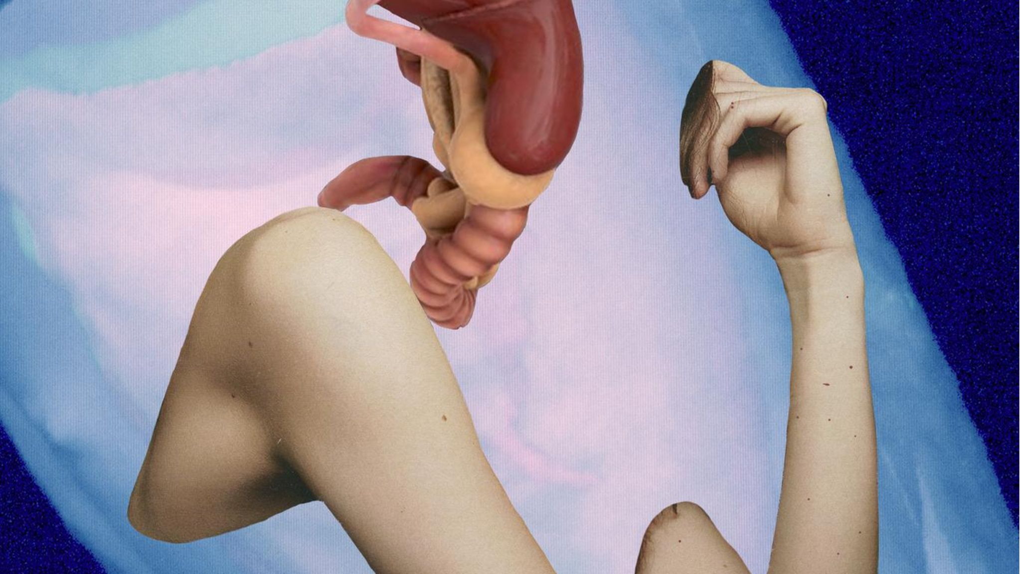Gendermedizin : Die Künstlerin Florence Iff kombiniert eigene CT-Scans mit Bildern von Organen und Gliedmaßen, um die Zerbrechlichkeit des weiblichen Körpers zu veranschaulichen. Frauen sind noch in der medizinischen Versorgung benachteiligt, da Männer weiterhin als Standard der Medizin gelten Die Künstlerin Florence Iff kombiniert eigene CT-Scans mit Bildern von Organen und Gliedmaßen, um die Zerbrechlichkeit des weiblichen Körpers zu veranschaulichen. Frauen sind noch in der medizinischen Versorgung benachteiligt, da Männer weiterhin als Standard der Medizin gelten