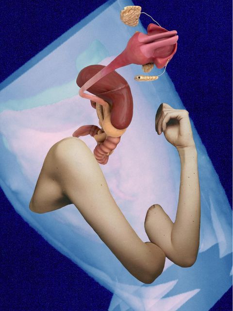 Die Künstlerin Florence Iff kombiniert eigene CT-Scans mit Bildern von Organen und Gliedmaßen, um die Zerbrechlichkeit des weiblichen Körpers zu veranschaulichen. Frauen sind noch in der medizinischen Versorgung benachteiligt, da Männer weiterhin als Standard der Medizin gelten  