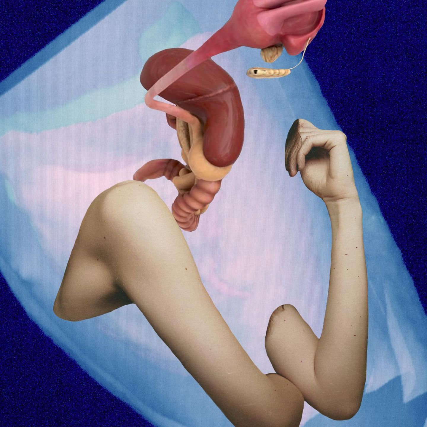 Die Künstlerin Florence Iff kombiniert eigene CT-Scans mit Bildern von Organen und Gliedmaßen, um die Zerbrechlichkeit des weiblichen Körpers zu veranschaulichen. Frauen sind noch in der medizinischen Versorgung benachteiligt, da Männer weiterhin als Standard der Medizin gelten  