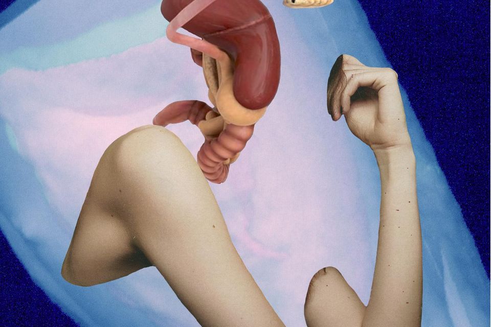 Die Künstlerin Florence Iff kombiniert eigene CT-Scans mit Bildern von Organen und Gliedmaßen, um die Zerbrechlichkeit des weiblichen Körpers zu veranschaulichen. Frauen sind noch in der medizinischen Versorgung benachteiligt, da Männer weiterhin als Standard der Medizin gelten  
