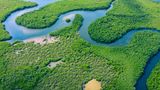 Amazonas in Brasilien mit Regenwald aus der Vogelperspektive