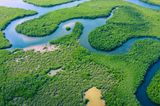 Amazonas in Brasilien mit Regenwald aus der Vogelperspektive