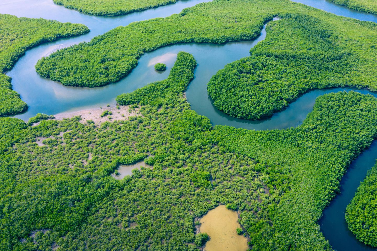 Amazonas in Brasilien mit Regenwald aus der Vogelperspektive