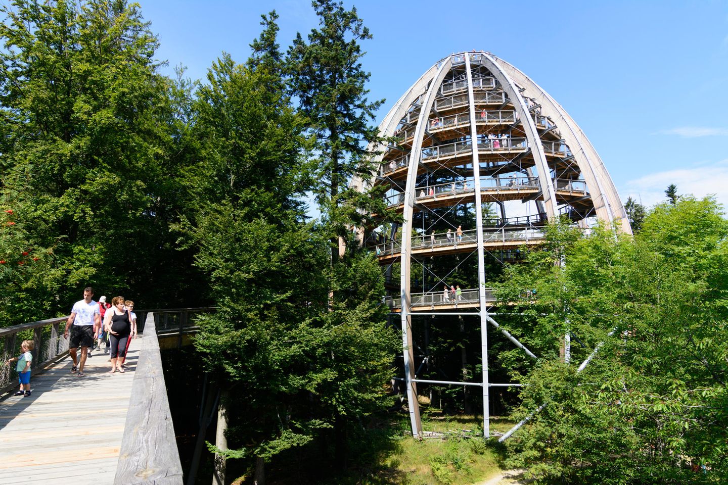 Baumturm im Baumwipfelpfad am Nationalparkinformationszentrum Lusen,
