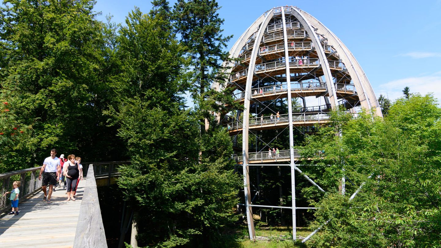 Baumturm im Baumwipfelpfad am Nationalparkinformationszentrum Lusen,
