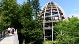 Baumturm im Baumwipfelpfad am Nationalparkinformationszentrum Lusen,