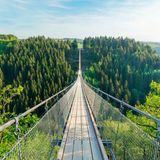 Geierlay-Hängeseilbrücke