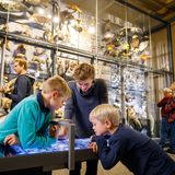 Museum für Naturkunde Berlin