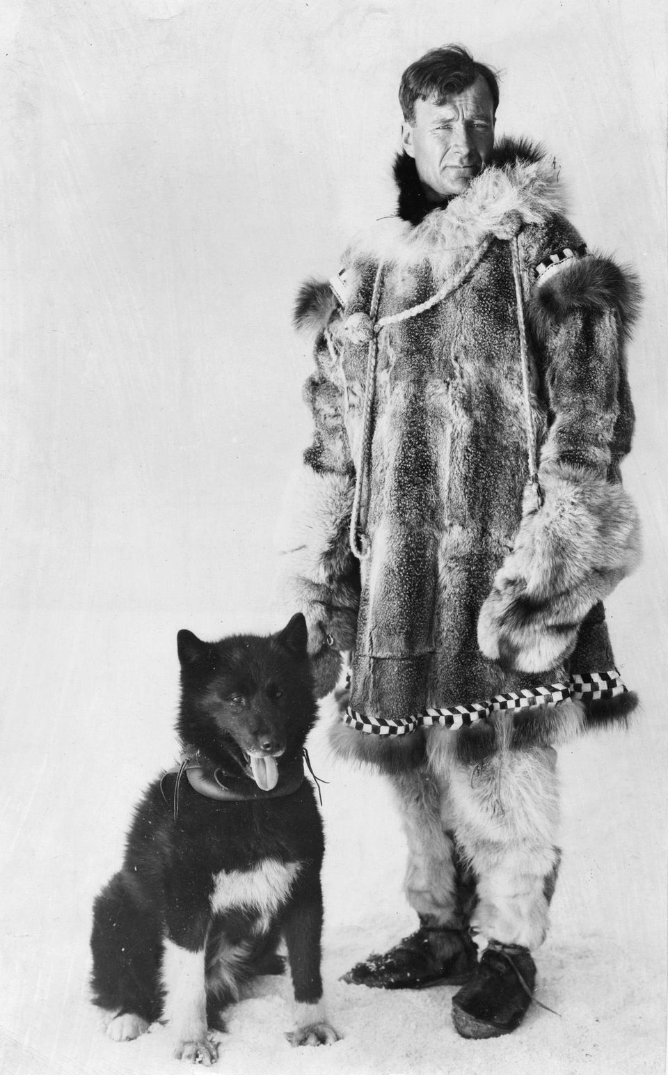 Schlittenhund Balto und Gunnar Kasson Schlittenhund Balto und Gunnar Kasson
