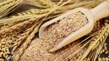 Weizenkleie als Magnesium Lebensmittel