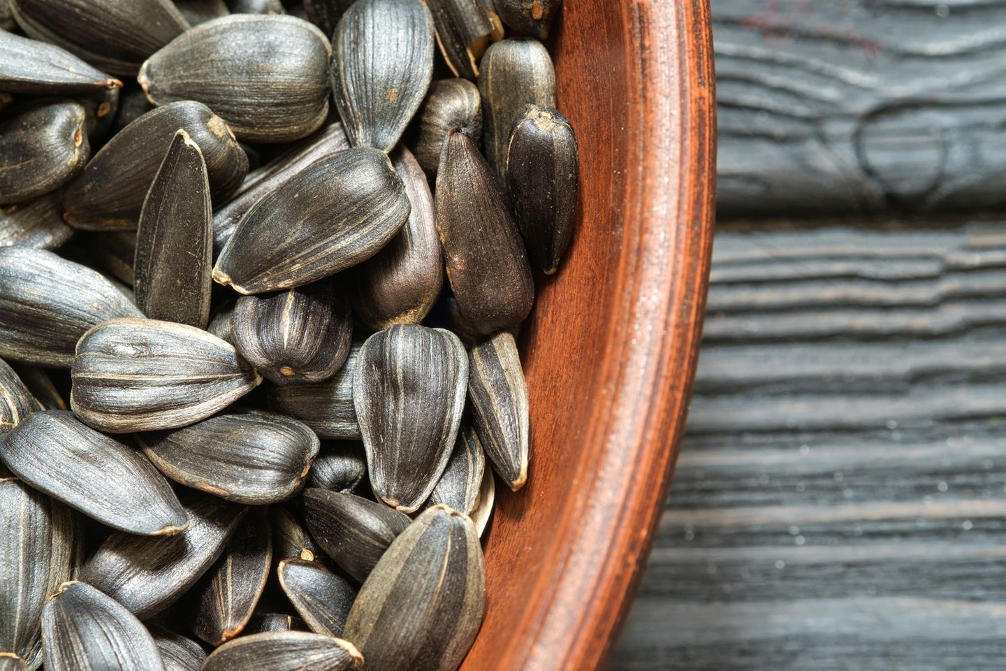 Sonnenblumenkerne