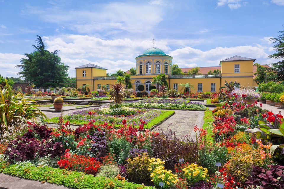 Der Berggarten in den Herrenhäuser Gärten der niedersächsischen Landeshauptstadt zählt zu den ältesten botanischen Gärten Deutschlands. Im Jahr 1666 als Gemüsegarten gegründet, sind hier heute insgesamt 11.000 Pflanzenarten, darunter Europas größte Orchideensammlung, zu bestaunen. Zusammen mit dem Großen Garten, einem der bedeutendsten Barockgärten Europas, dem Georgen- und dem Welfengarten, hält der Berggarten zahllose Entdeckungen für Garten- und Pflanzen-Fans bereit. hannover.de/Herrenhausen 1.0255