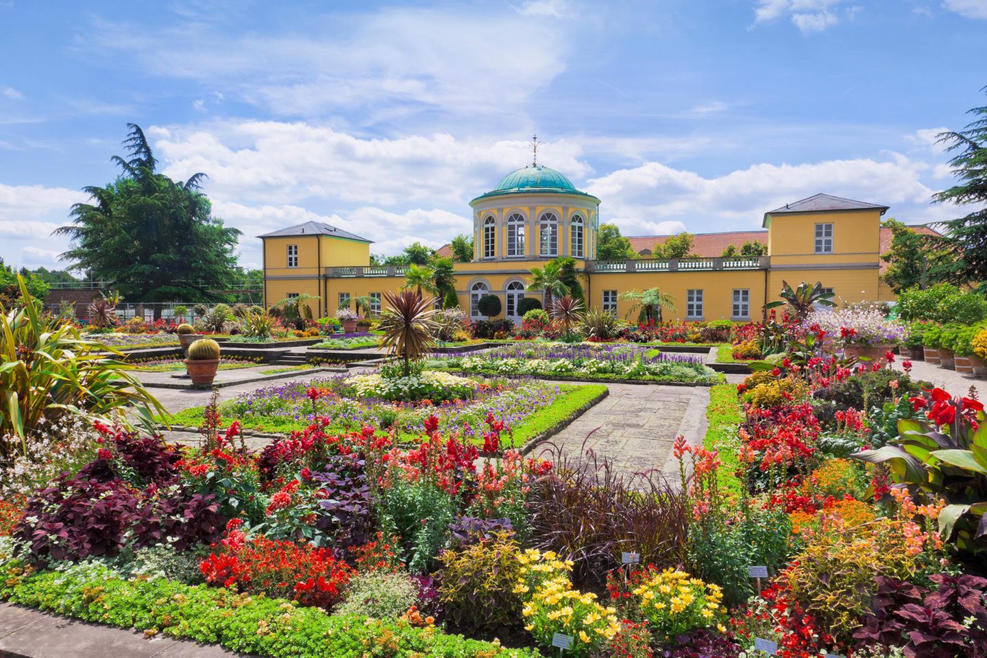 Der Berggarten in den Herrenhäuser Gärten der niedersächsischen Landeshauptstadt zählt zu den ältesten botanischen Gärten Deutschlands. Im Jahr 1666 als Gemüsegarten gegründet, sind hier heute insgesamt 11.000 Pflanzenarten, darunter Europas größte Orchideensammlung, zu bestaunen. Zusammen mit dem Großen Garten, einem der bedeutendsten Barockgärten Europas, dem Georgen- und dem Welfengarten, hält der Berggarten zahllose Entdeckungen für Garten- und Pflanzen-Fans bereit.  hannover.de/Herrenhausen