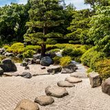 Im Westen Hamburgs erstreckt sich das weitläufige Areal des Loki-Schmidt-Gartens der Hansestadt. Ein Spaziergang führt die Besucher*innen durch alle Erdteile und informiert über Biologie, Ökologie, Verbreitung und Verwandtschaft der Pflanzen. Wasserflächen mit riesigen Karpfen und Sumpfschildkröten, die in der Sonne baden, laden zum Verweilen ein. Der Eintritt ist frei; vom Hauptbahnhof ist das Gelände U-Bahn in wenigen Minuten zu erreichen.  botanischer-garten.uni-hamburg.de