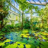 1871 eröffnet, geht der Palmengarten im Frankfurter Westend auf eine Bürgerinitiative zurück – und ist heute mit 22 Hektar Fläche einer der größten seiner Art. In seinen Themengärten und klimatisierten Schauhäusern sind rund 13.000 tropische und subtropische Pflanzenarten zu bestaunen. Der Palmengarten ist nicht nur ein Ort der botanischen Wissensvermittlung, sondern auch ein Ort der Erholung, der Kultur und der Geselligkeit, wie schon das Herzstück des Gartens, das historische Gesellschaftshaus verrät.  palmengarten.de/de/index.html