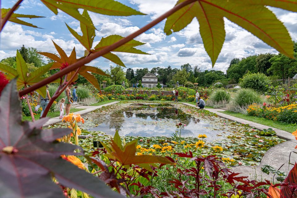 10 sehenswerte botanische Gärten in Deutschland [GEO]