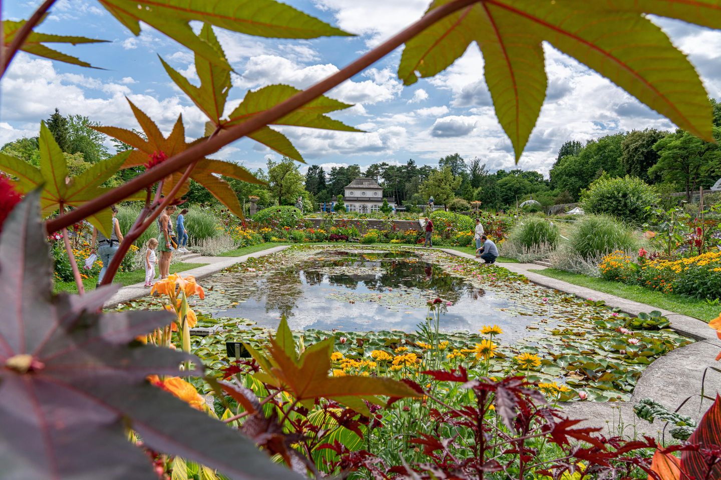 10 sehenswerte botanische Gärten in Deutschland [GEO]