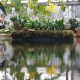 Einer der ältesten Gärten seiner Art ist der Botanische Garten Leipzig. Gegründet im Jahr 1580, wechselte er vier Mal seinen Standort. Im Zweiten Weltkrieg wurde die Anlage fast komplett zerstört. Heute präsentiert der Garten in seinem Schmetterlingshaus, dem Apothekergarten und dem Duft- und Tastgarten und anderen Schaugärten weit über 10.000 Pflanzenarten.  lw.uni-leipzig.de/botanischer-garten