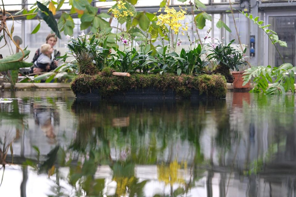 Elegantes Leipzig Botanischer Garten Ebenbildnull