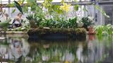 Einer der ältesten Gärten seiner Art ist der Botanische Garten Leipzig. Gegründet im Jahr 1580, wechselte er vier Mal seinen Standort. Im Zweiten Weltkrieg wurde die Anlage fast komplett zerstört. Heute präsentiert der Garten in seinem Schmetterlingshaus, dem Apothekergarten und dem Duft- und Tastgarten und anderen Schaugärten weit über 10.000 Pflanzenarten.  lw.uni-leipzig.de/botanischer-garten