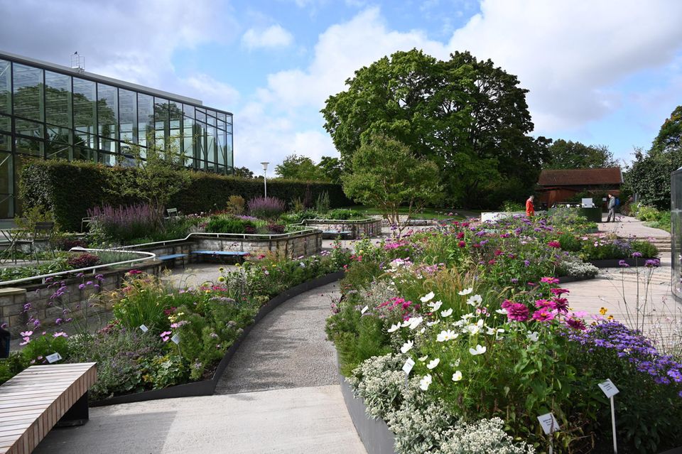 10 sehenswerte botanische Gärten in Deutschland [GEO]