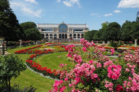 10 sehenswerte botanische Gärten in Deutschland [GEO]