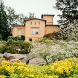 Den Botanischen Garten der Hansestadt Greifswald gibt es schon seit 1763. Im Freilandbereich sind Gewürz- und Heilpflanzen zu erkunden, ein Alpinum lädt zu einem Ausflug ins Gebirge ein. In den historischen Gewächshäusern sind Tropenpflanzen, Palmen und Palmfarne zu bestaunen. Asiatische, amerikanische und europäische Gehölze säumen die 3,5 Kilometer langen Pfade des Arboretums.  uni-greifswald.de/universitaet/einrichtungen/botanischer-garten-und-arboretum